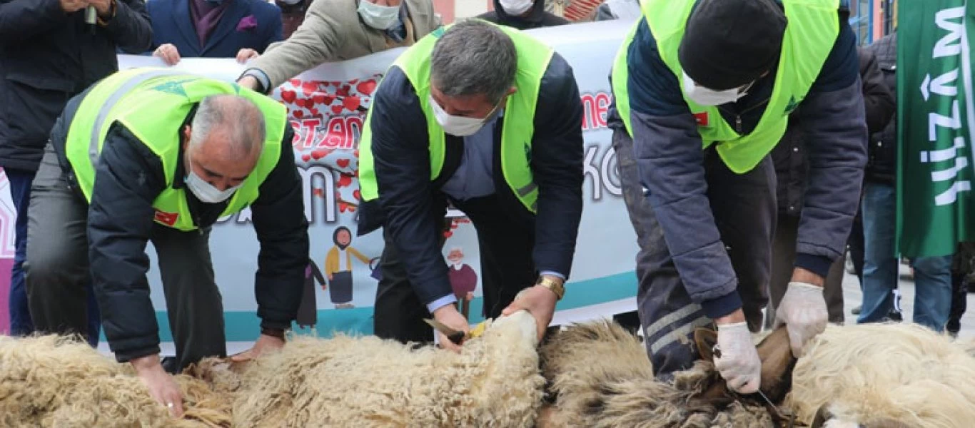 Τουρκία: Έσφαξαν 8 πρόβατα από την χαρά τους για την κατάργηση της σύμβασης της Κωνσταντινούπολης (βίντεο)